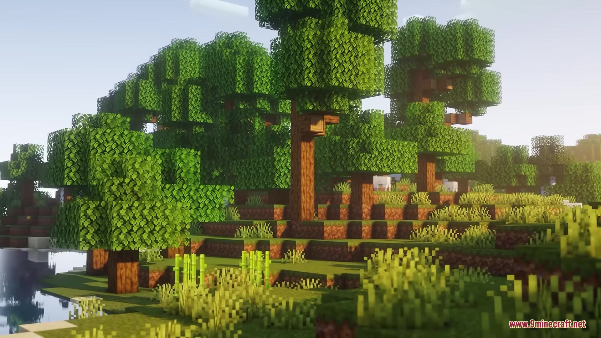 Rojak Resource Pack (26.1.2, 1.20.1) – Vibrant Vanilla Tweaks With Rich Mod 11 Lush green trees and tall grass in a sunny minecraft forest biome