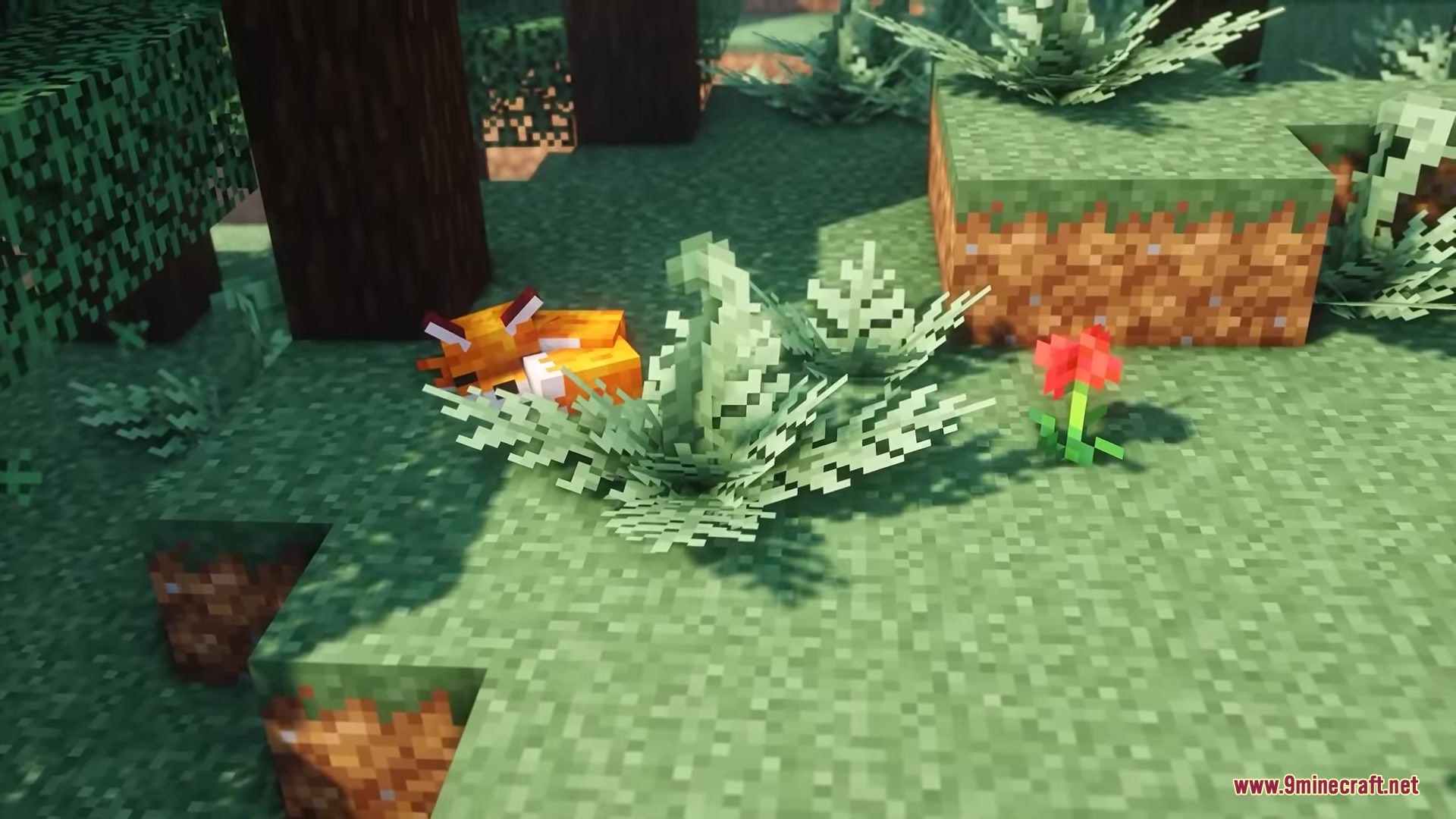 Rojak Resource Pack (26.1.2, 1.20.1) – Vibrant Vanilla Tweaks With Rich Mod 5 A sleeping orange fox rests in the grass near a small red flower