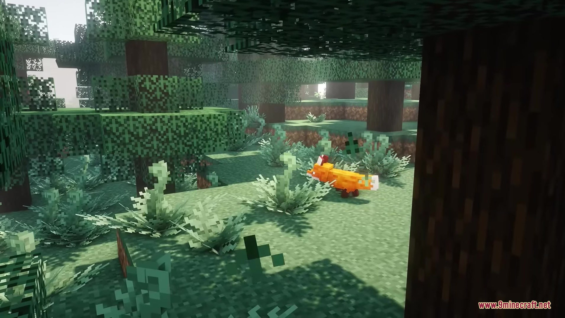 Rojak Resource Pack (26.1.2, 1.20.1) – Vibrant Vanilla Tweaks With Rich Mod 6 An orange fox stands among ferns in a sunlit forest with realistic lighting