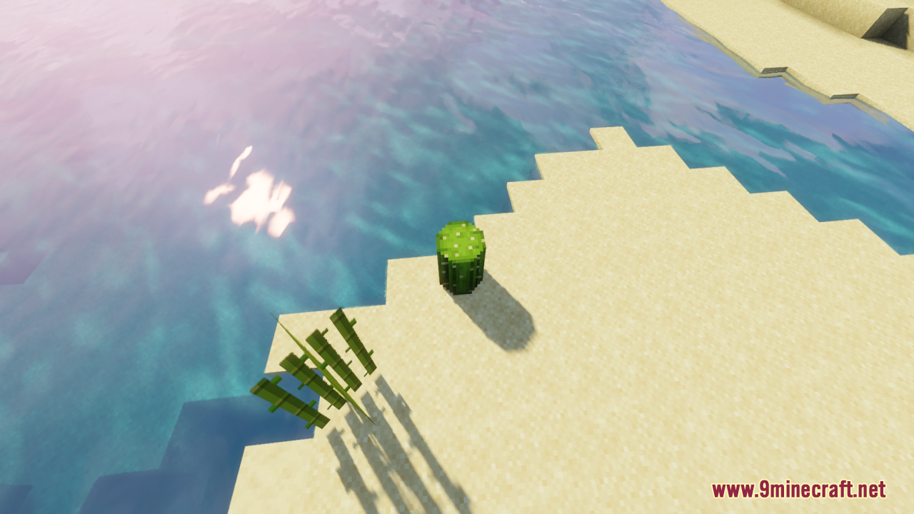 Round Cacti Resource Pack (26.1.2, 1.20.1) – Lifelike 3D Cacti For Natural 13 Top down view of a rounded cactus block next to sugar cane