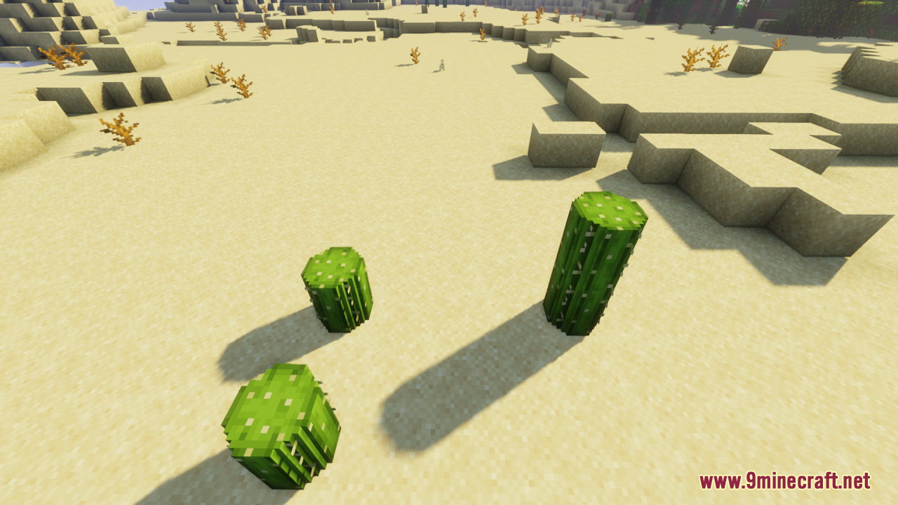 Round Cacti Resource Pack (26.1.2, 1.20.1) – Lifelike 3D Cacti For Natural 14 Three rounded cactus blocks standing on sand in a sunny desert biome