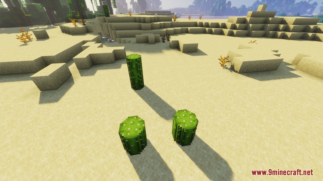 Round Cacti Resource Pack (26.1.2, 1.20.1) – Lifelike 3D Cacti For Natural 15 Rounded cacti models placed on sand with a jungle in the background