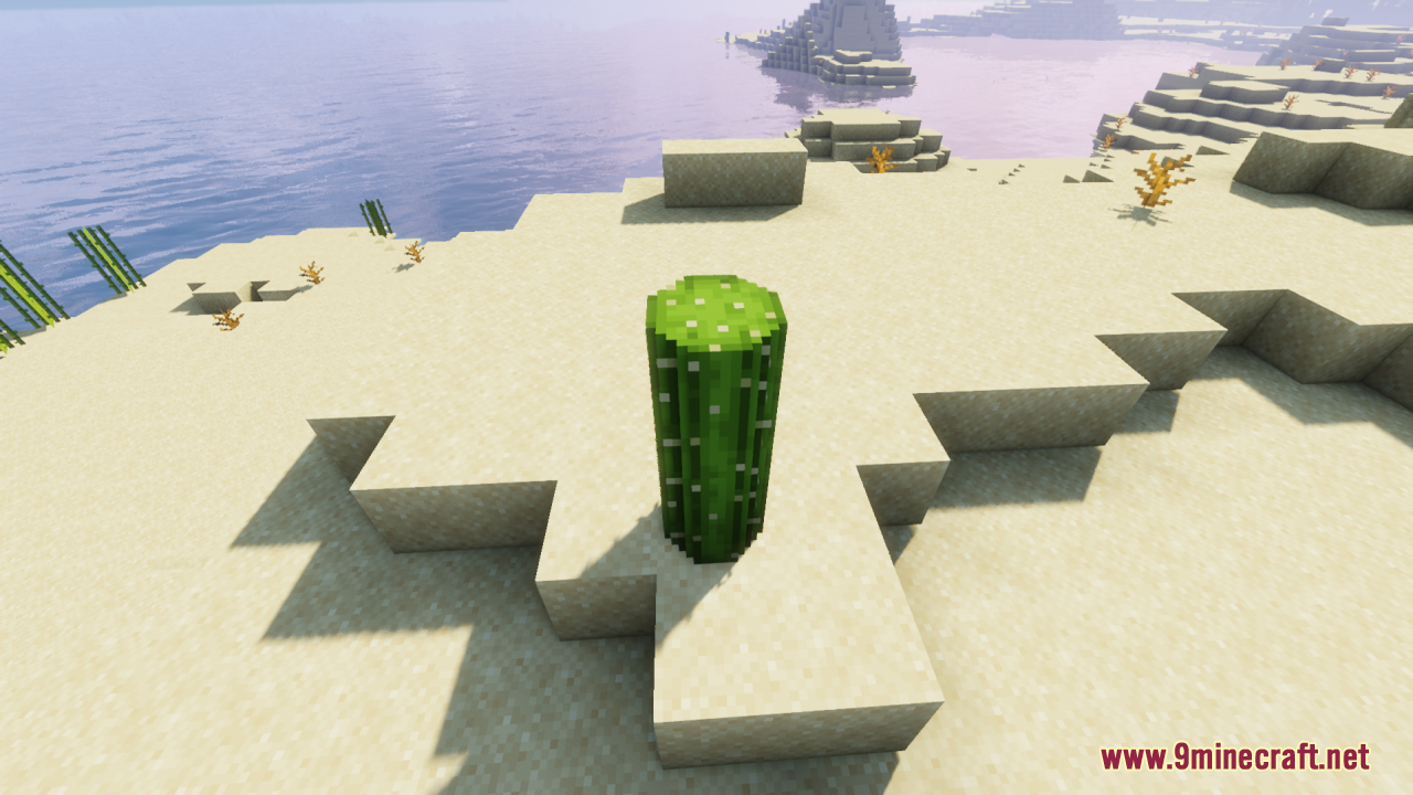 Round Cacti Resource Pack (26.1.2, 1.20.1) – Lifelike 3D Cacti For Natural 8 A rounded green cactus block sitting on sand near the ocean shore
