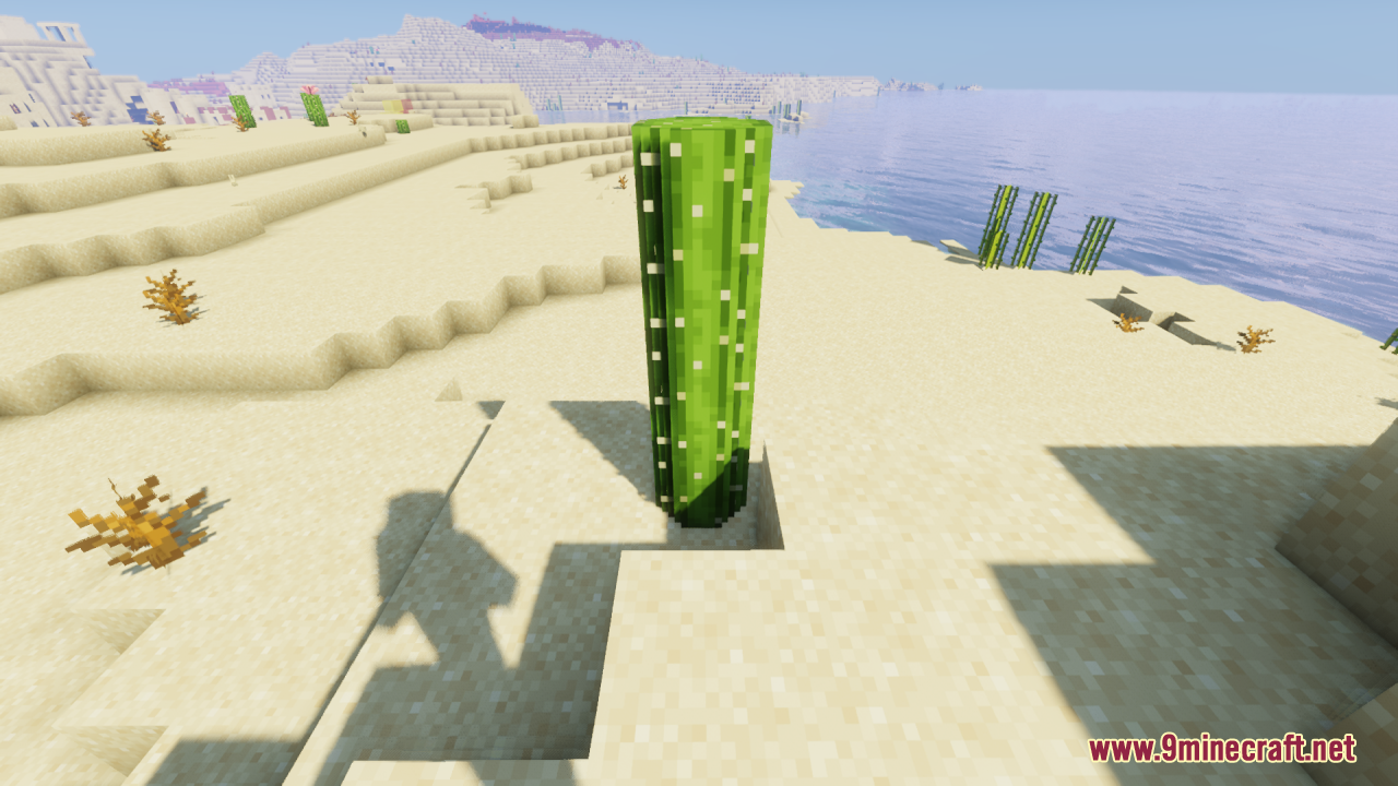 Round Cacti Resource Pack (26.1.2, 1.20.1) – Lifelike 3D Cacti For Natural 9 Two rounded cactus blocks stacked together in a bright minecraft desert landscape