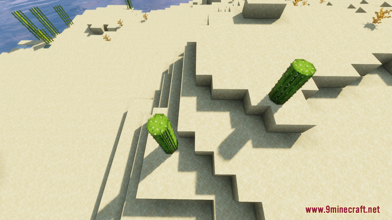 Round Cacti Resource Pack (26.1.2, 1.20.1) – Lifelike 3D Cacti For Natural 10 Two rounded cacti placed on a sandy desert slope with realistic shadows