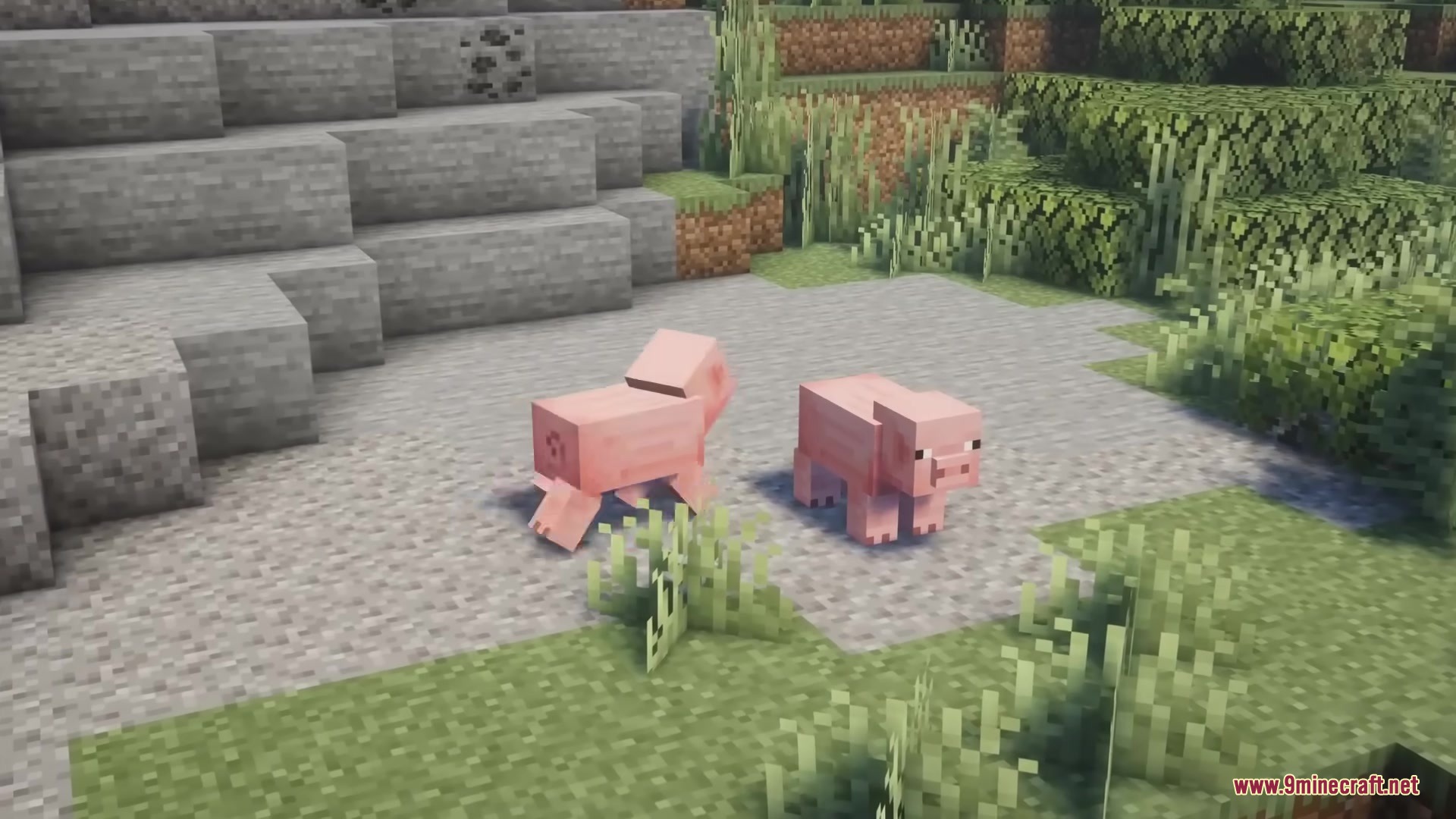 Two pink pigs standing on a gravel path near a stone cliff