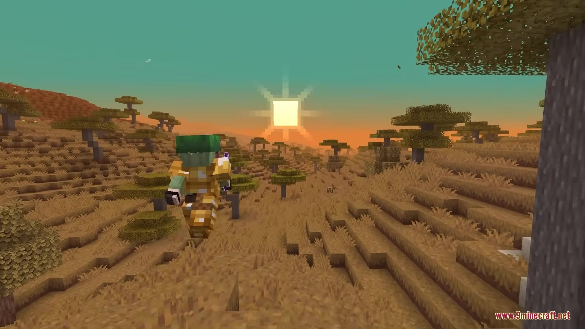 Terrarium By Lynxs Mod (1.21.11, 1.20.1) – Survive On An Accurate Replica 2 A player wearing golden armor walks through a savanna biome at sunset