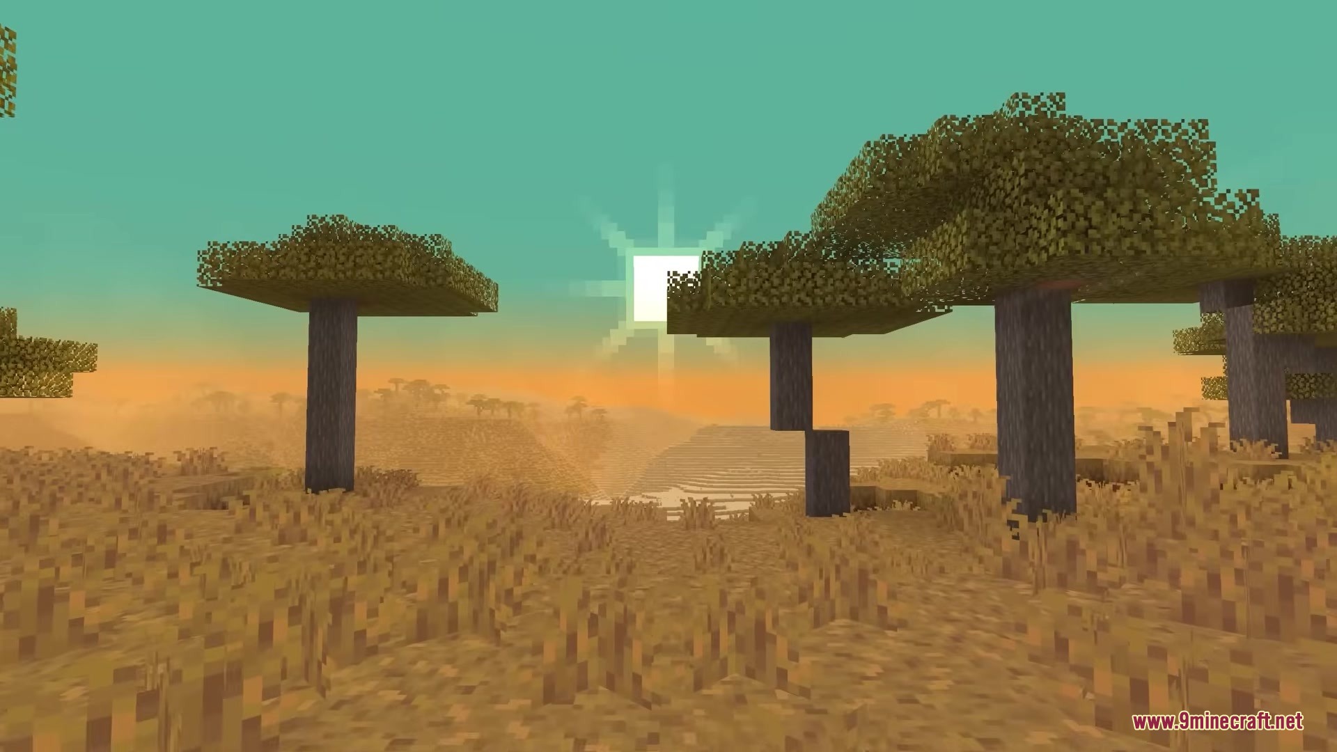 Terrarium By Lynxs Mod (1.21.11, 1.20.1) – Survive On An Accurate Replica 3 Acacia trees stand in a savanna landscape under a bright square sun