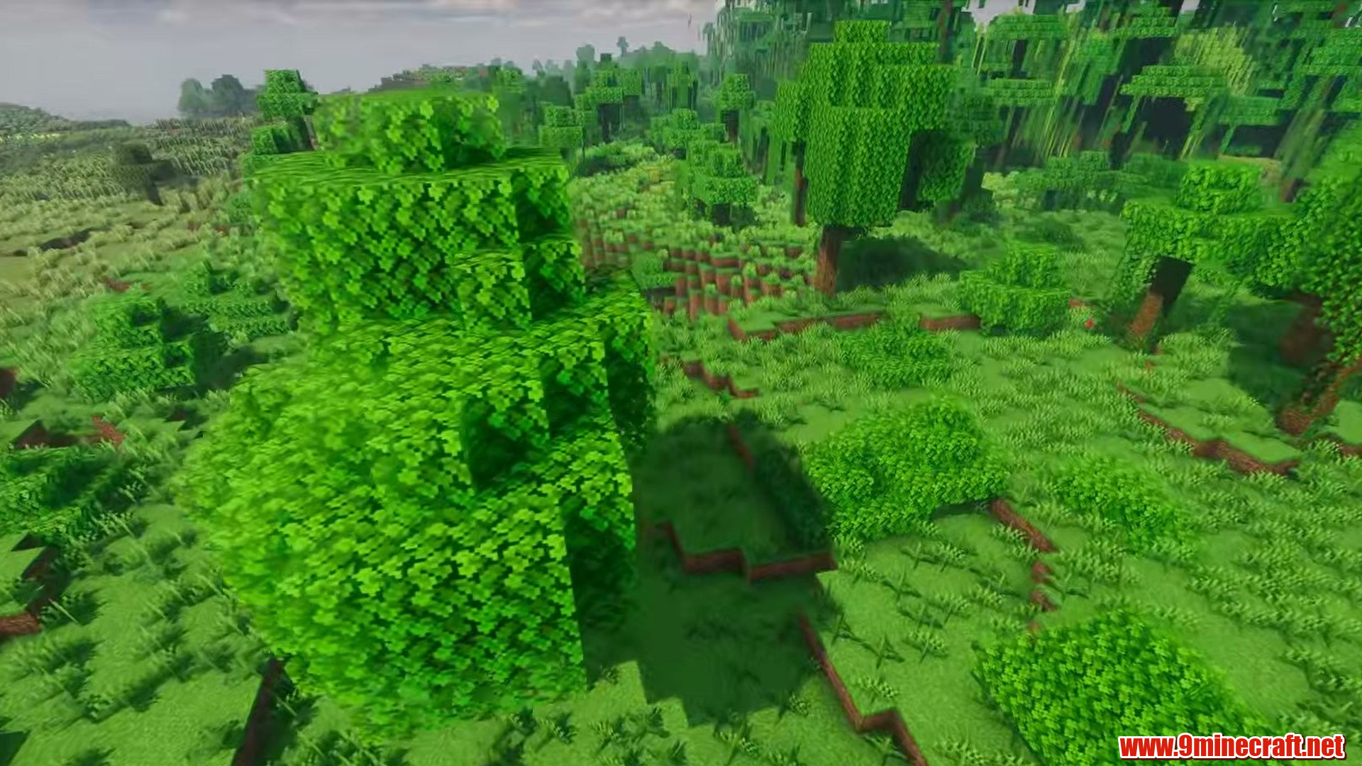 Top 13 Flat Land Seeds Perfect For Building In Minecraft (26.2, 1.21.11) – Java Edition 8 Birch forest edging flat plains in minecraft seed 615999180913849370