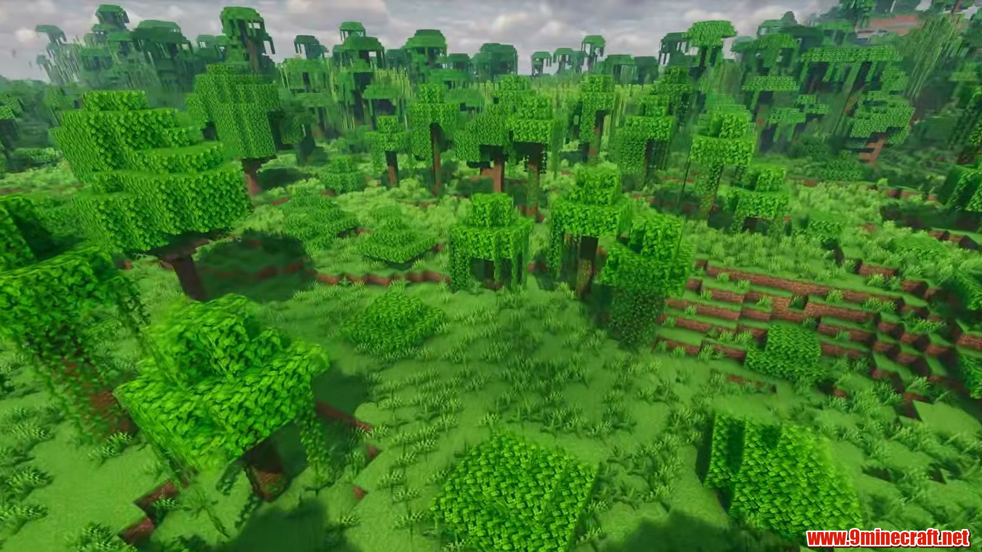 Top 13 Flat Land Seeds Perfect For Building In Minecraft (26.2, 1.21.11) – Java Edition 9 Level plains framed by birch trees