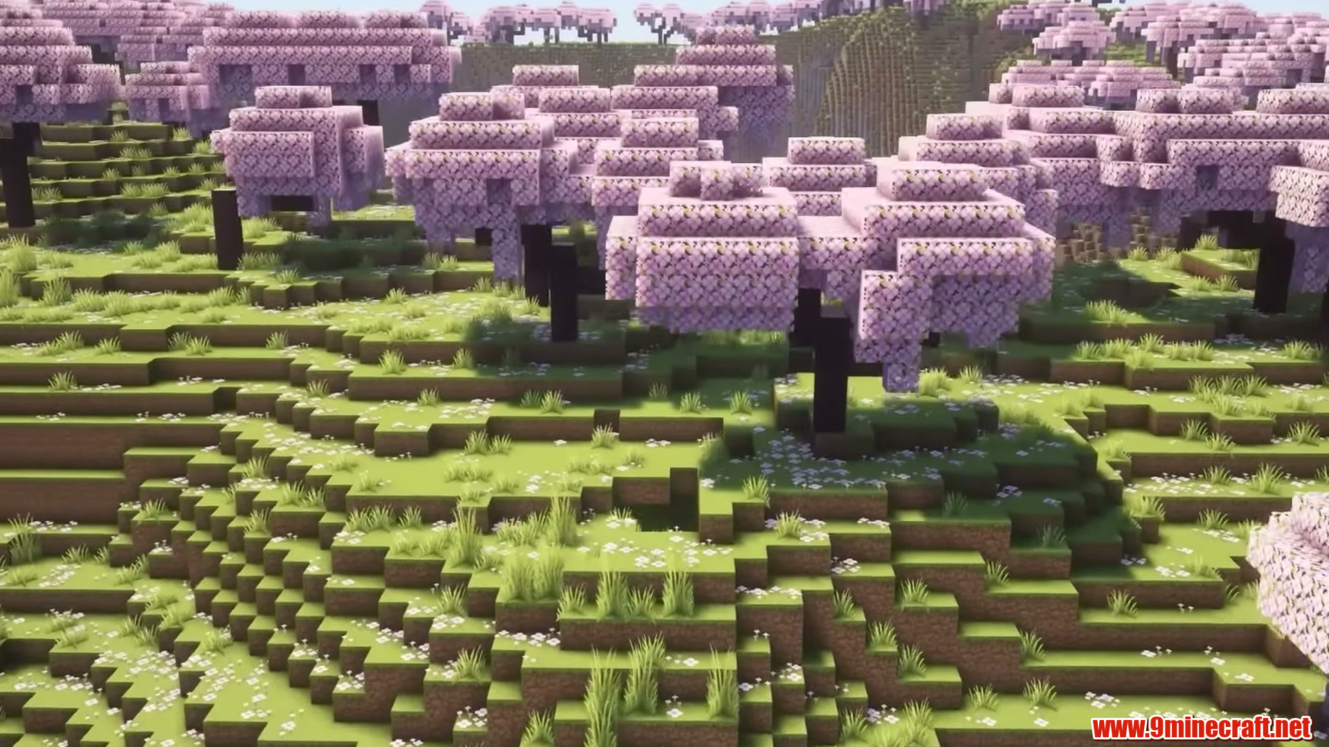 Best Seeds For Minecraft (26.2, 1.21.11) Part 1 – Java/Bedrock Edition 7 Cherry grove terrain surrounding the rare outpost spawn