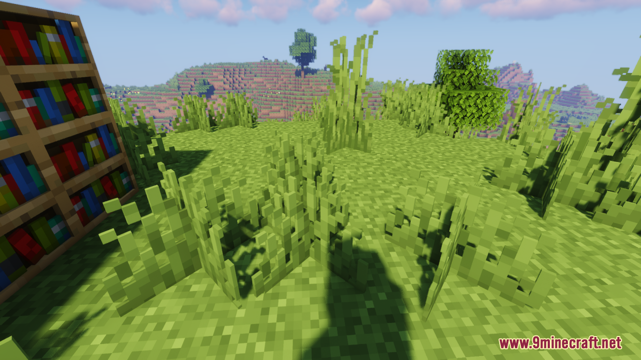 Tall grass and a bookshelf block with 3d models on a grassy hill