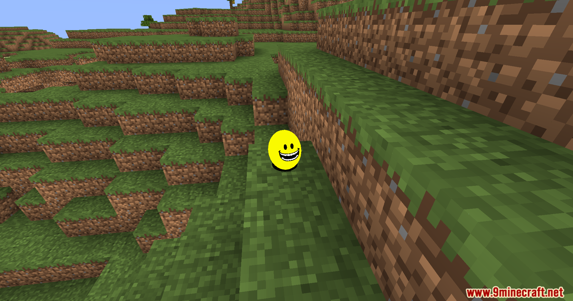 Verity Shaders (1.20.1) – Smooth Sphere Rendering For The Verity Mod 5 A smooth yellow sphere with a smiling face sits on a grassy hill