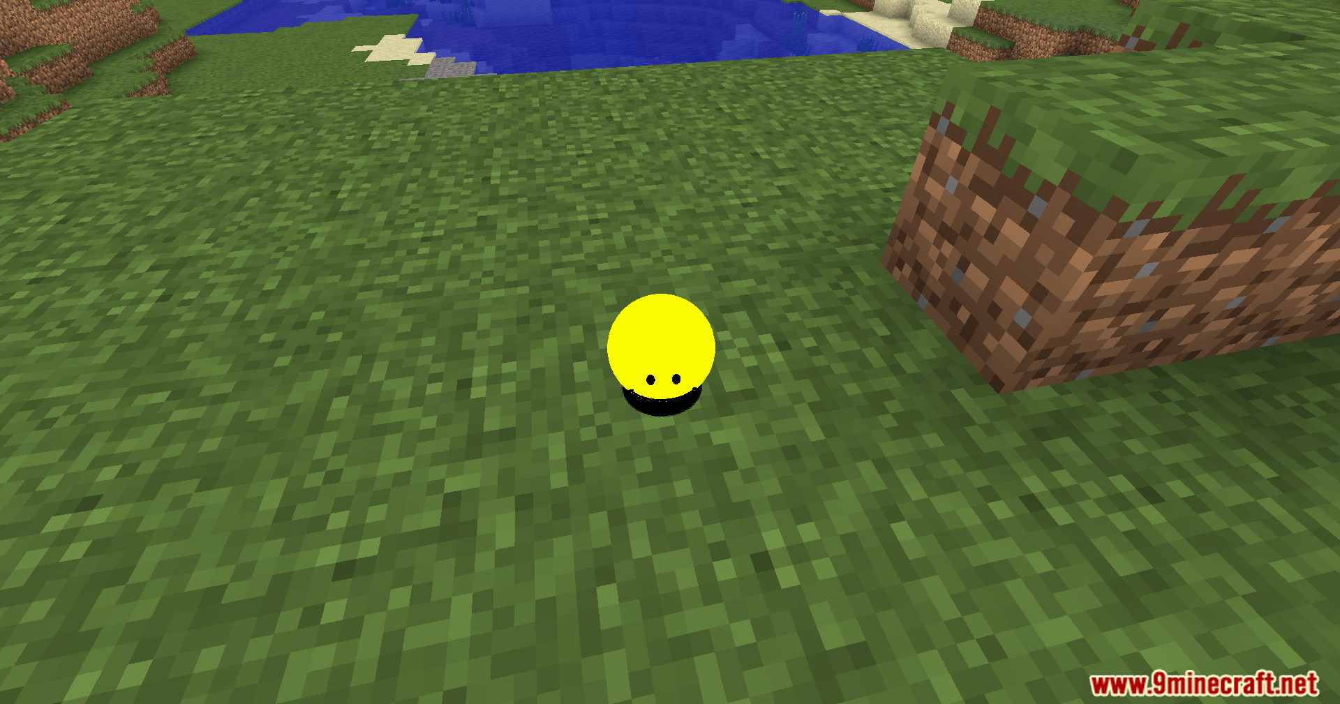 Verity Shaders (1.20.1) – Smooth Sphere Rendering For The Verity Mod 8 A smooth yellow sphere with two eyes sits on the green grass