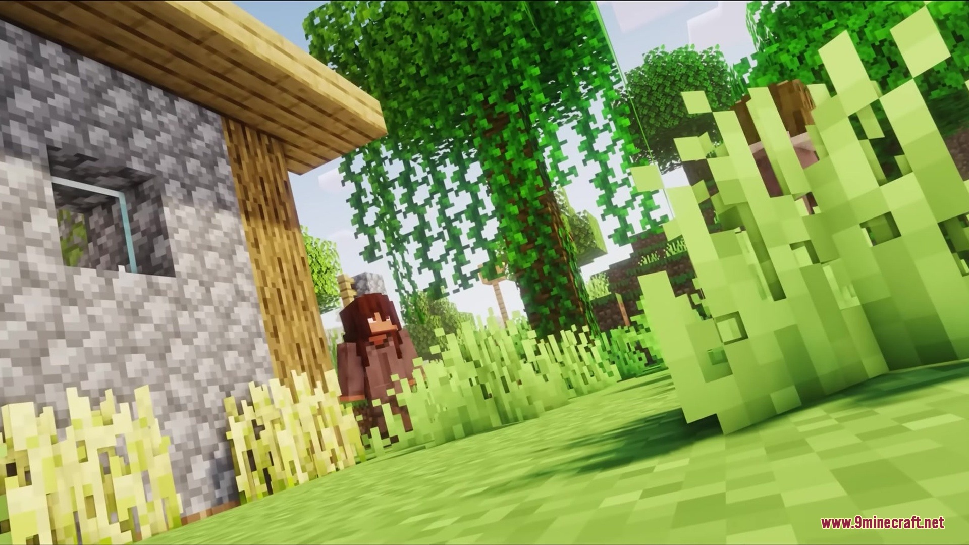 Wither Boss Summoning Animation Resource Pack (1.18.2) 11 A player in brown robes standing near a cobblestone house and tall grass