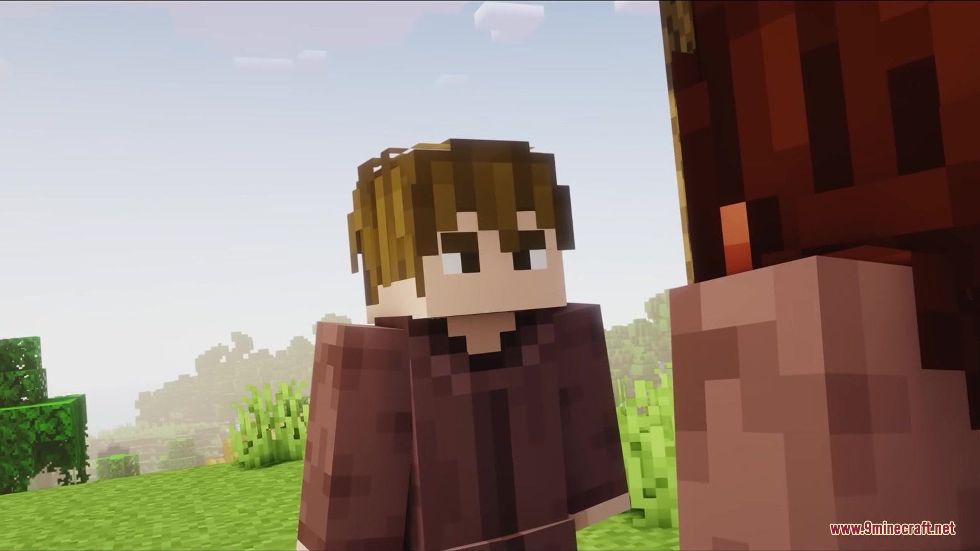 Wither Boss Summoning Animation Resource Pack (1.18.2) 13 Close up of a minecraft character with brown hair wearing a brown robe