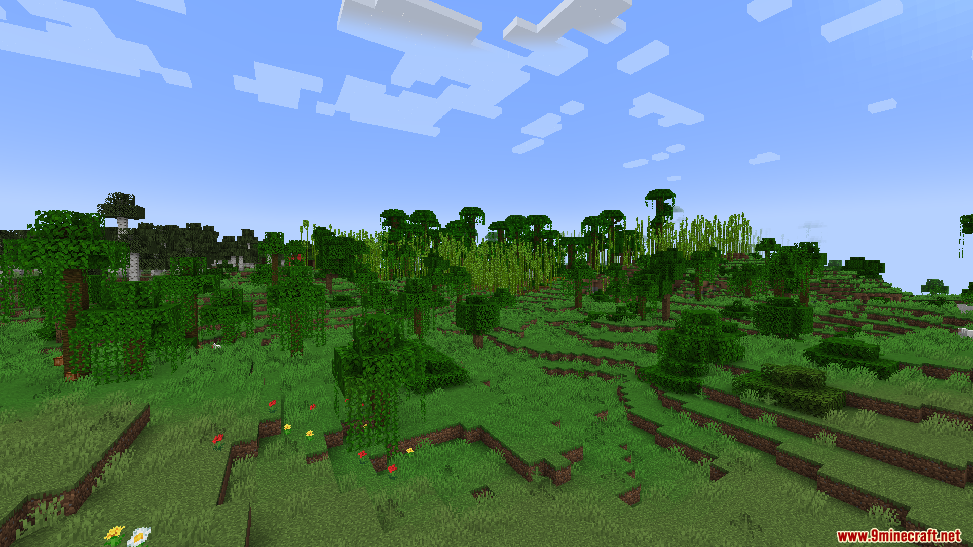 Lush jungle biome with bamboo forests and vines under a clear sky