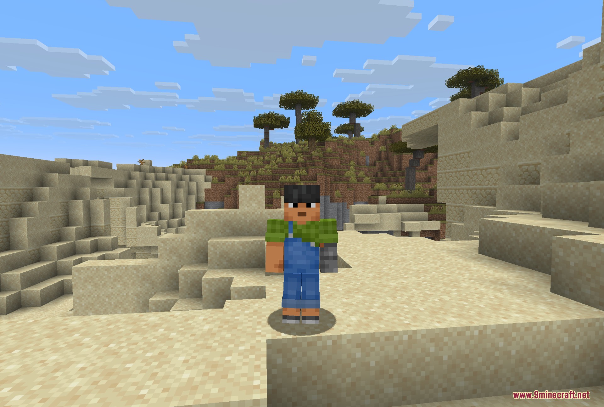 Fresh Moves 9Minecraft Resource Pack (26.2, 1.21.11) – Lifelike Animations And Expressive Faces 4 Fresh moves 9minecraft resource pack screenshot 3