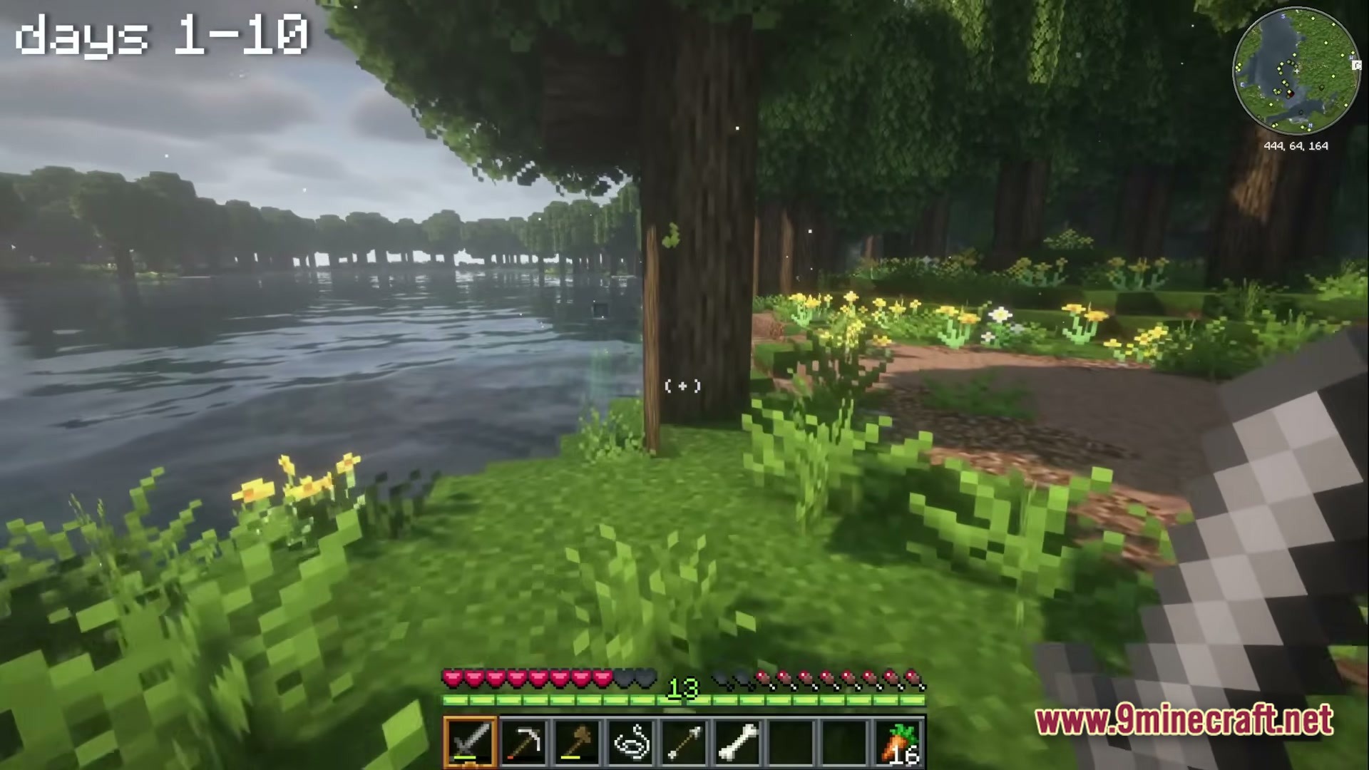 A first-person view of a player holding a sword near a lake in a forest biome