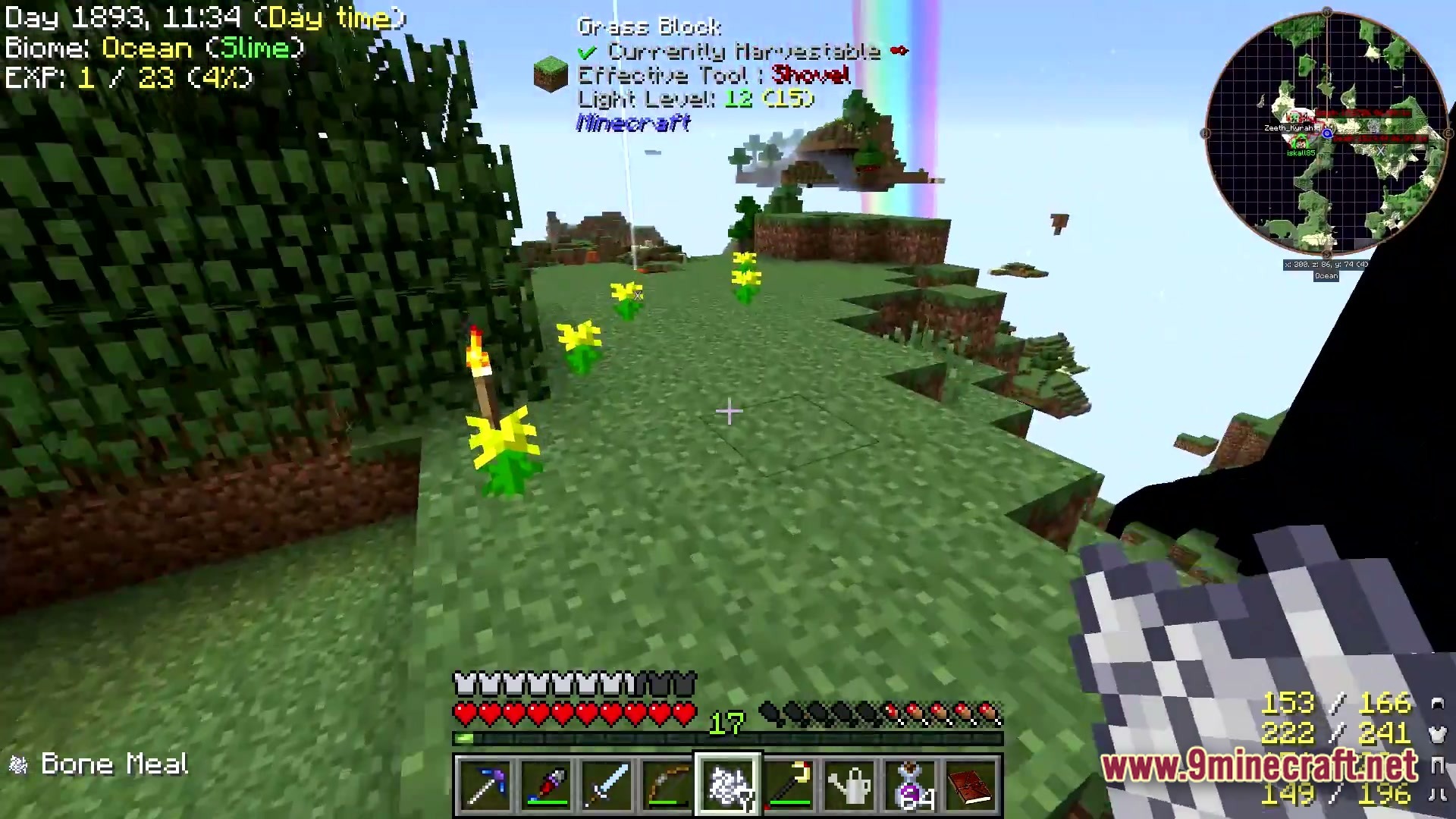 A player holds bone meal on a floating island with a rainbow in the distance