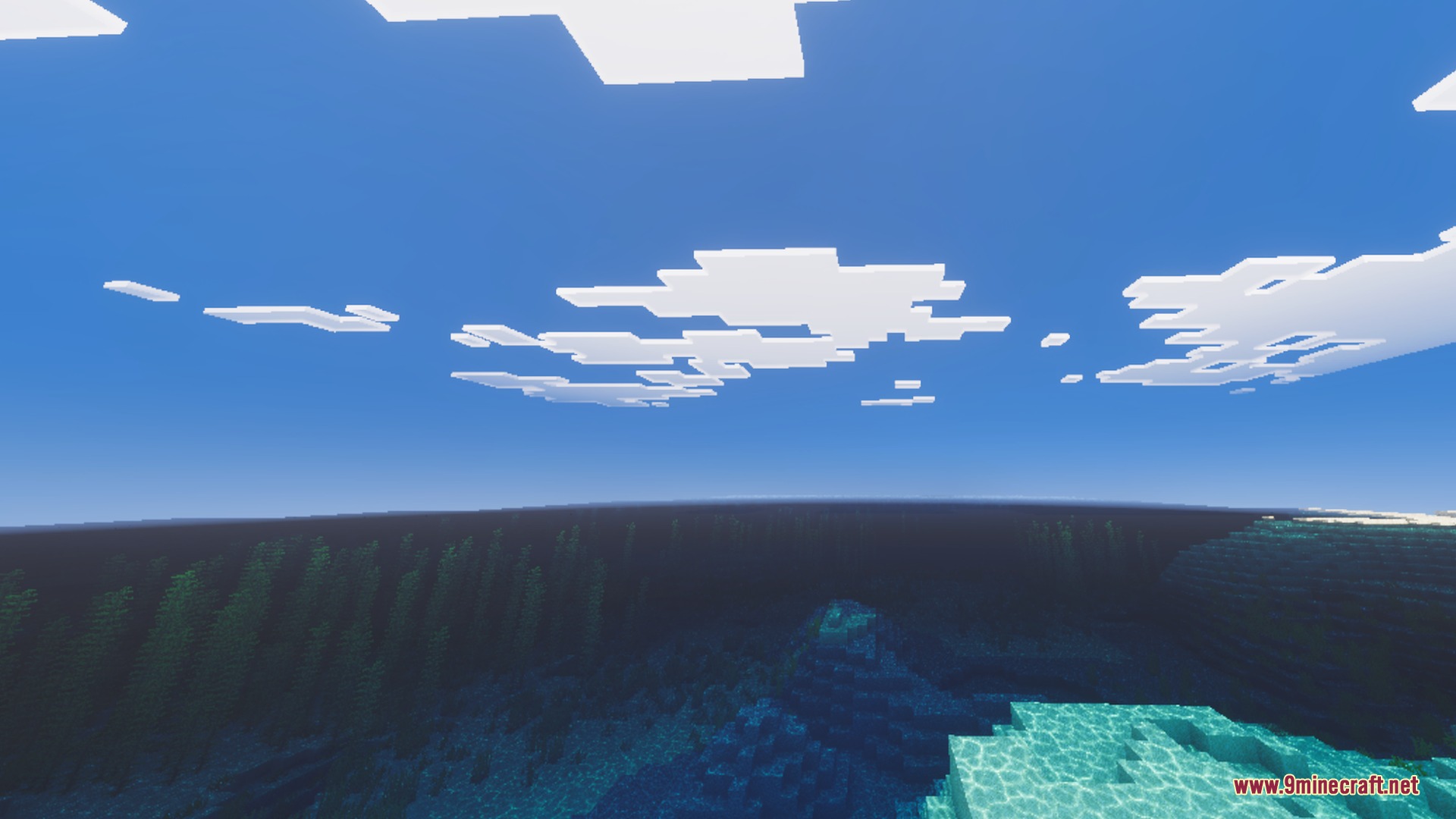 Clear ocean water with underwater kelp under a bright blue sky
