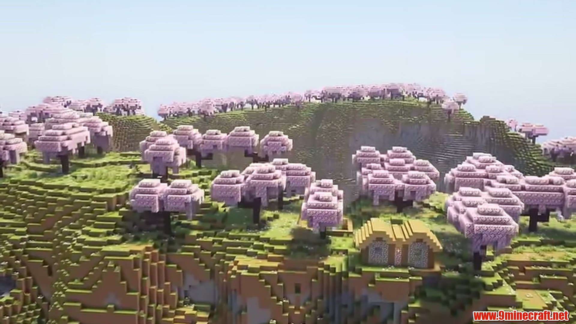 Best Seeds For Minecraft (26.2, 1.21.11) Part 11 – Java/Bedrock Edition 2 Cherry village ridge in minecraft seed 69420105945471738