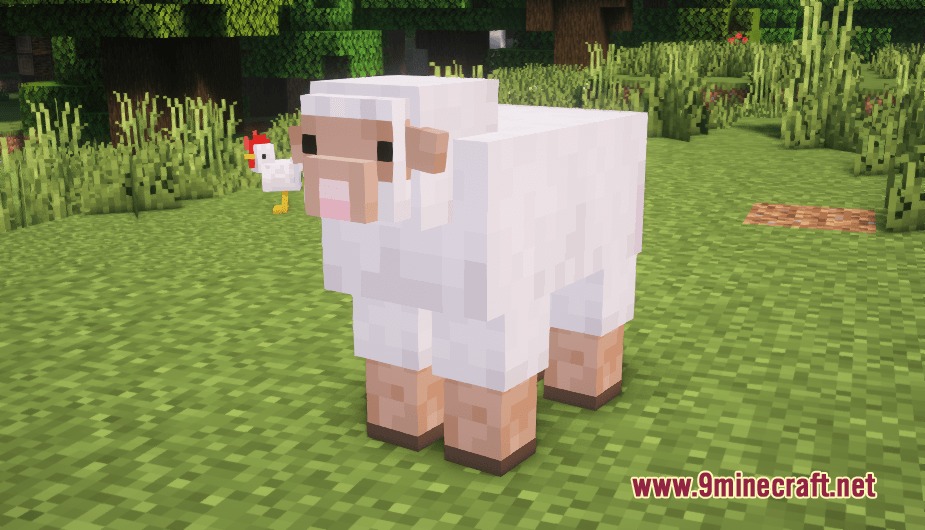 Better Vanilla Animals Heycronus Resource Pack (26.1.2, 1.20.1) 2 A white sheep with a detailed snout and ears in a grassy field