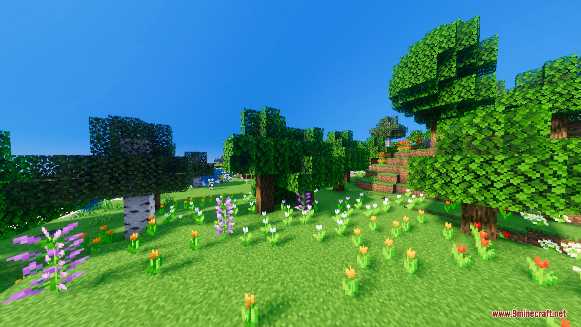 Bsl Vibrant Visuals Shader (26.X) – Clear Water And Glowing Ores Without Rtx 11 Bright sunny meadow with colorful flowers and lush green trees under blue skies
