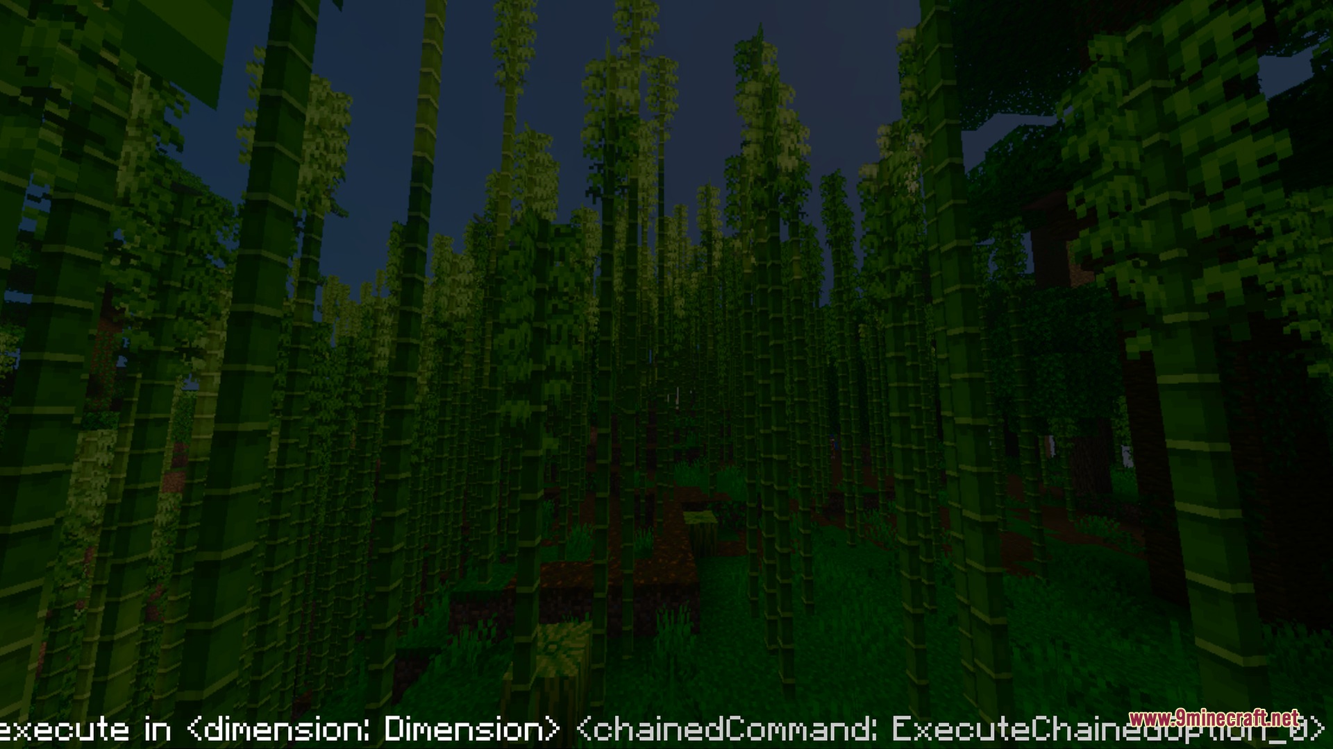 Bsl Vibrant Visuals Shader (26.X) – Clear Water And Glowing Ores Without Rtx 10 Dense bamboo forest at night with tall green stalks and dark shadows