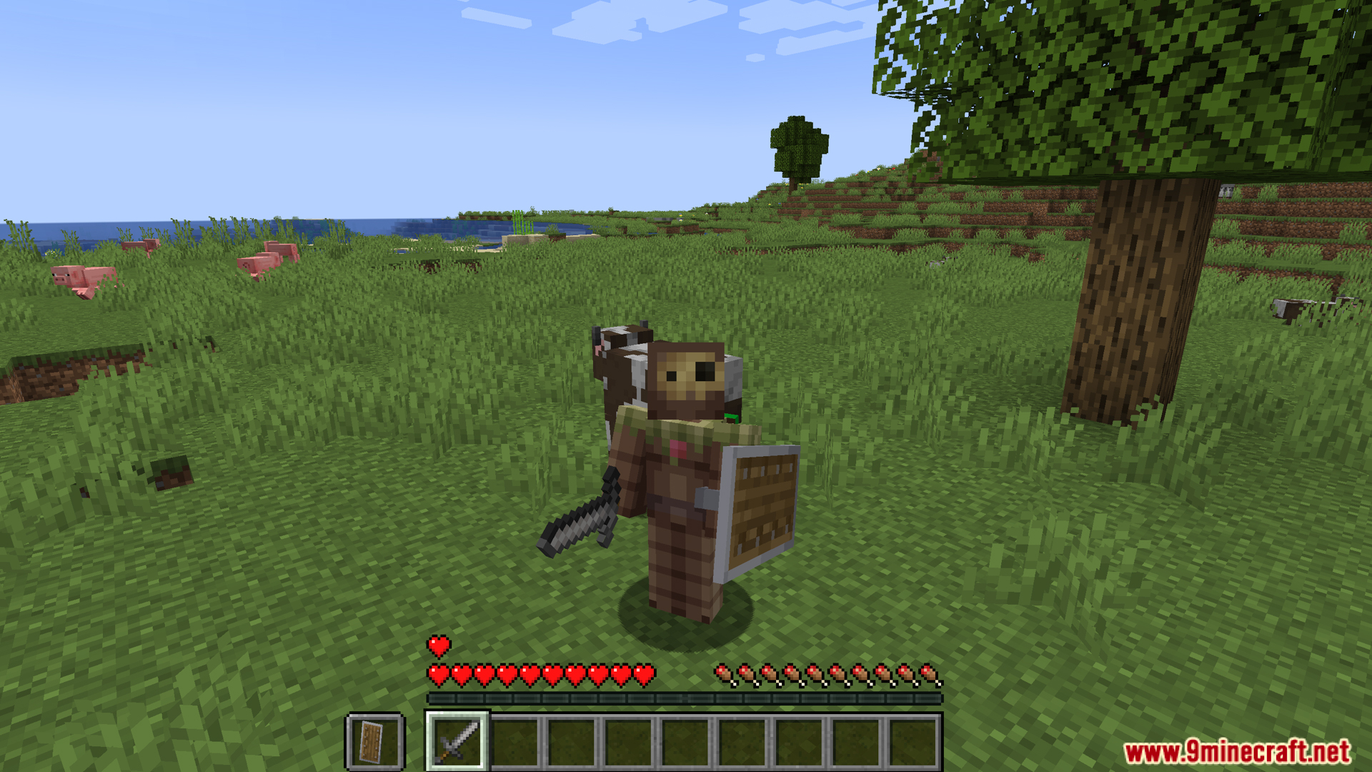 Player character equipped as a knight with sword and shield