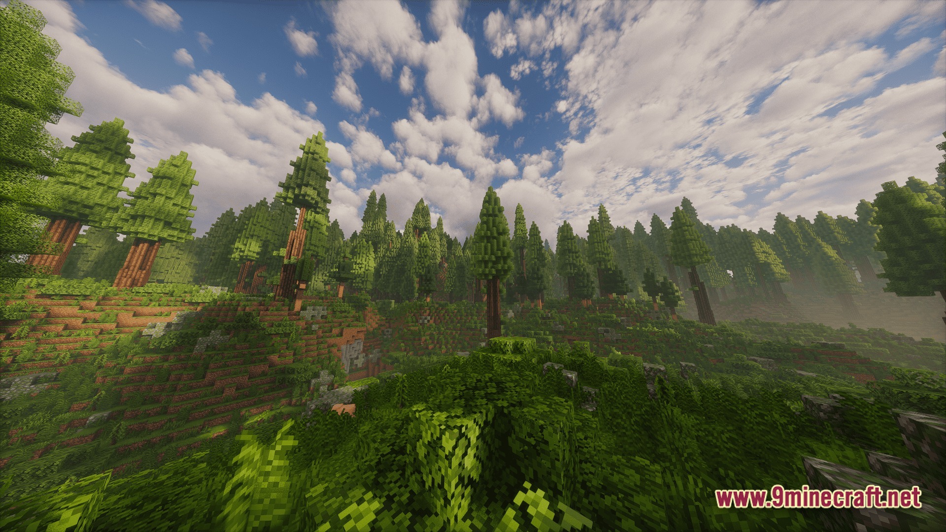 Create Above The Horizon Modpack (1.21.1) – Fly Airships Across Upgraded Lands 10 A dense coniferous forest biome with tall redwood trees under a bright, cloudy sky