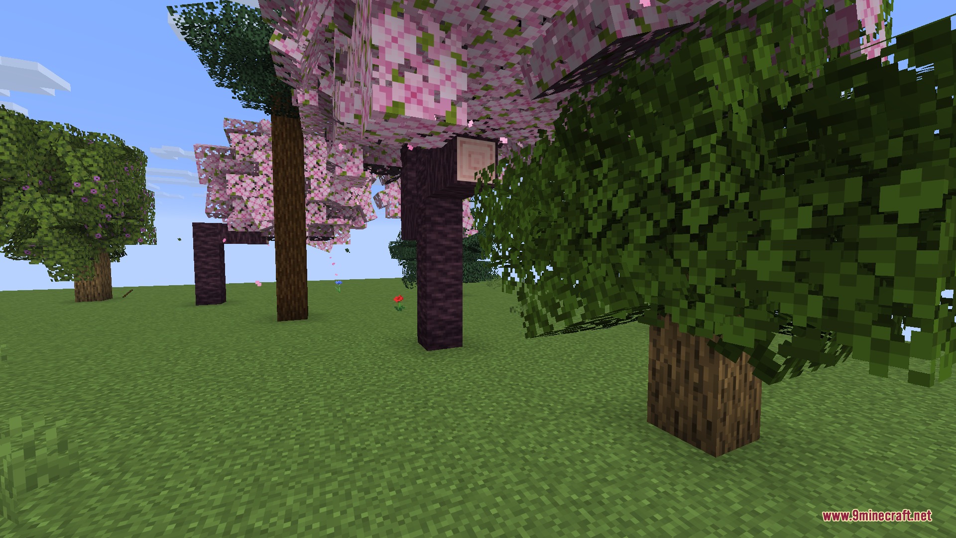 Cubic Leaves 9Minecraft Resource Pack (26.2) – Bushy 3D Foliage For Vanilla Trees 3 Close up view of thick cubic leaf blocks on various minecraft trees