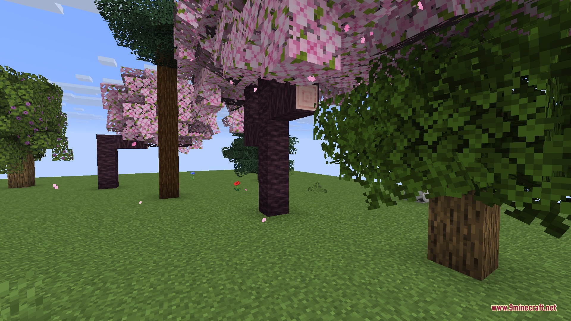 Cubic Leaves 9Minecraft Resource Pack (26.2) – Bushy 3D Foliage For Vanilla Trees 4 Lush cherry and oak trees with bushy leaves in a grassy field