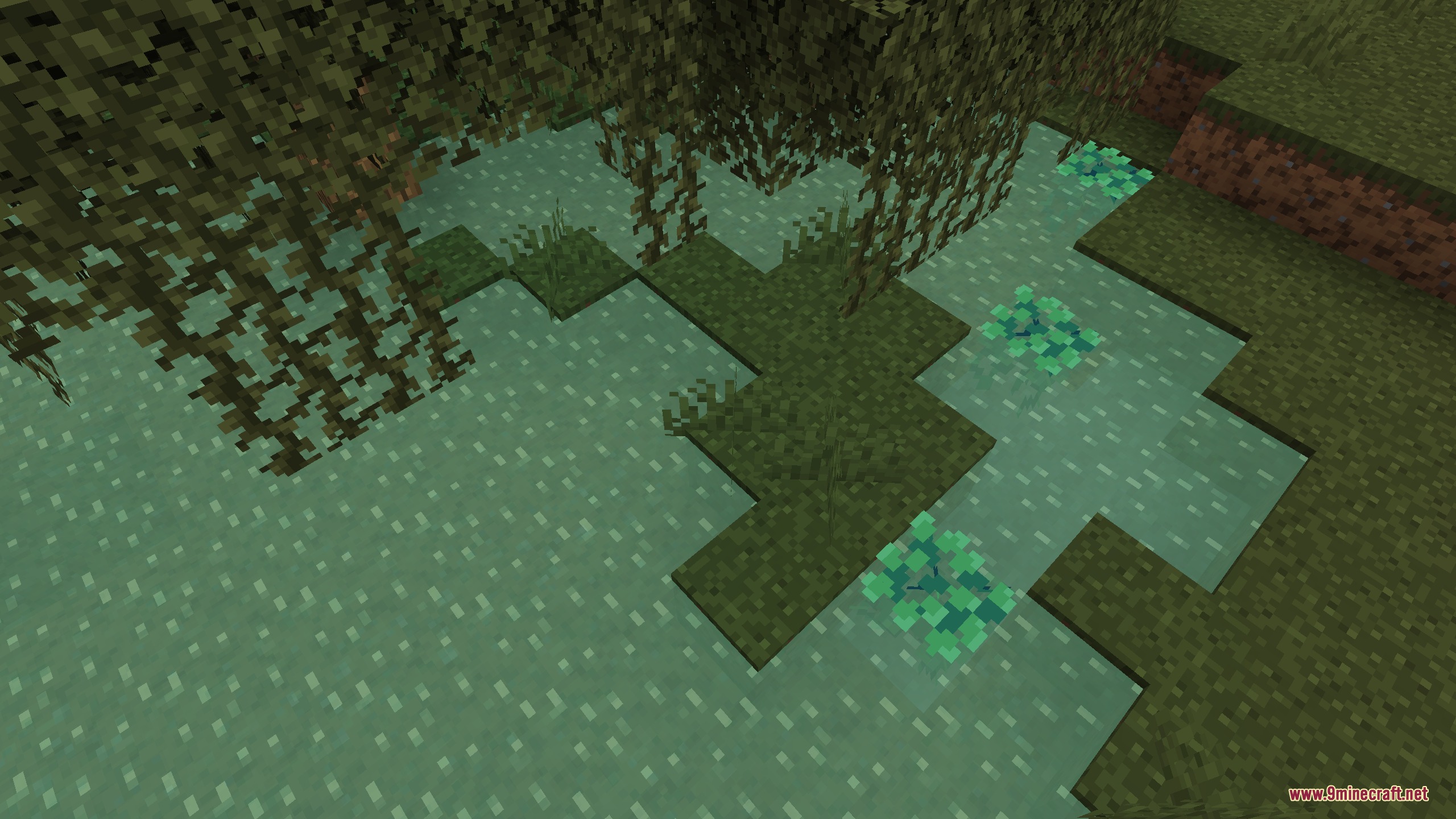 Dungeons Water Resource Pack (26.2, 1.20.1) – Colorful Stylized Water 6 Vibrant stylized water textures from minecraft dungeons in a swampy biome