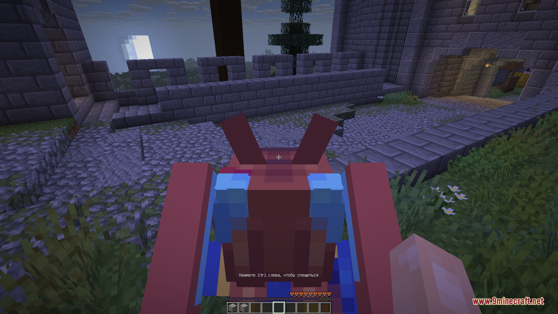 First person view of riding an anime horse girl near a stone castle