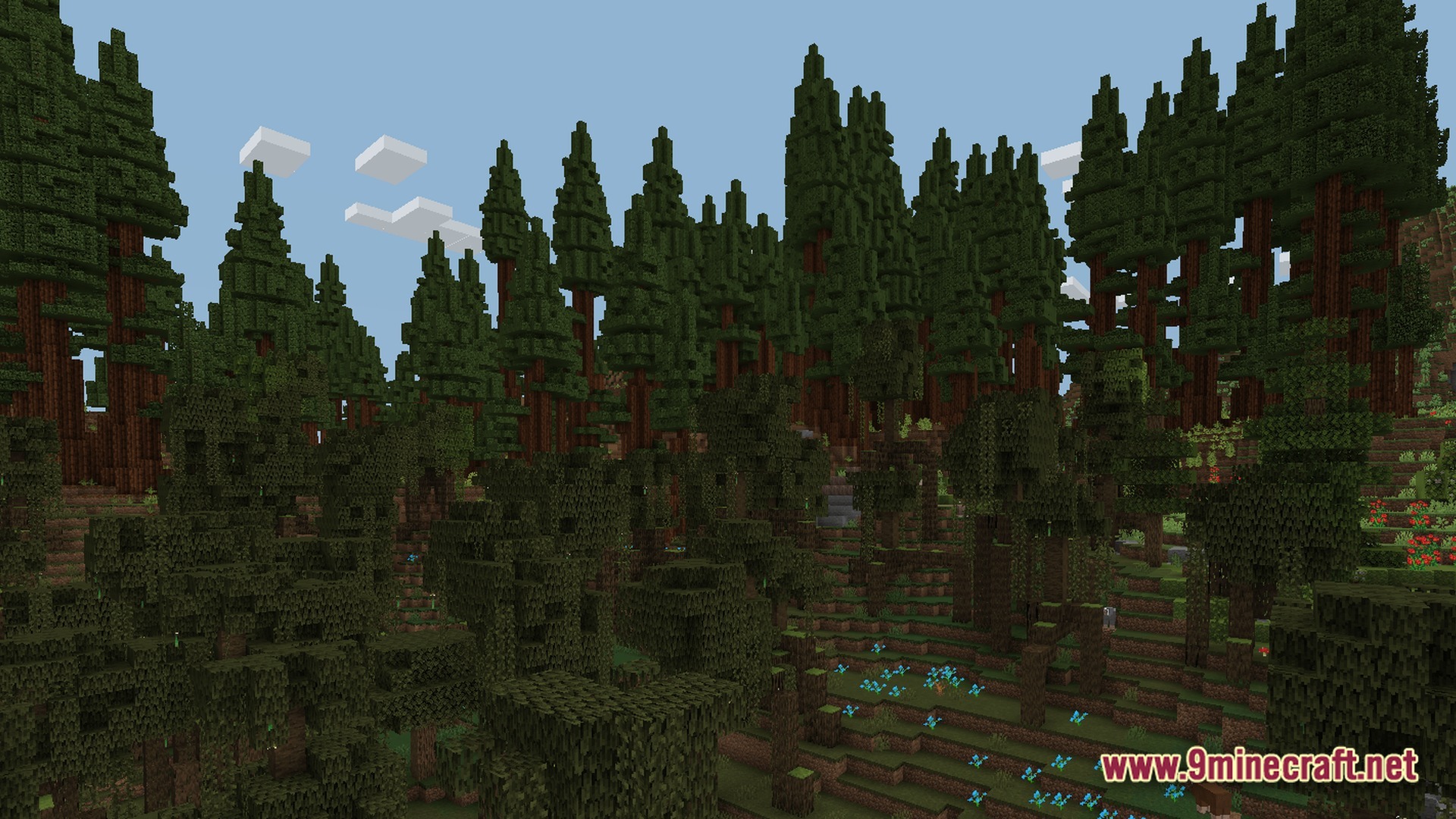 Ff’s Terra Forge Modpack (1.21) – Explore Massive Biomes And Dungeons 8 A dense forest biome featuring tall redwood trees, diverse foliage, and small blue flowers on hillsides