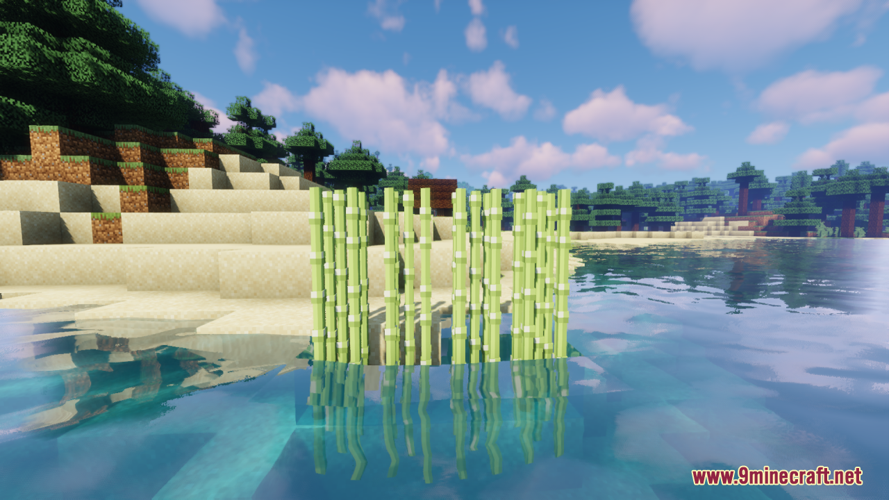 Farm 3D Resource Pack (26.2, 1.20.1) – Makes Minecraft Plants 3D 10 Sugar cane growing in water near a sandy beach