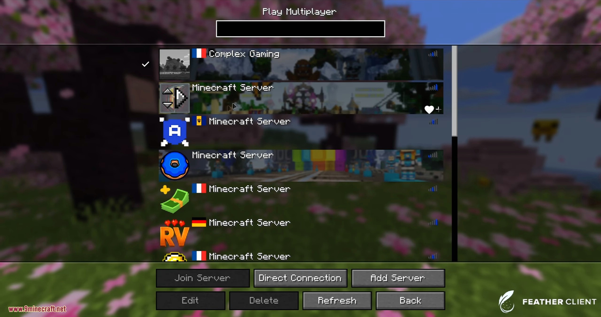 Feather Patched Launcher (26.2, 1.20.1) – Get Full Features With No License 14 A list of multiplayer servers to join and play