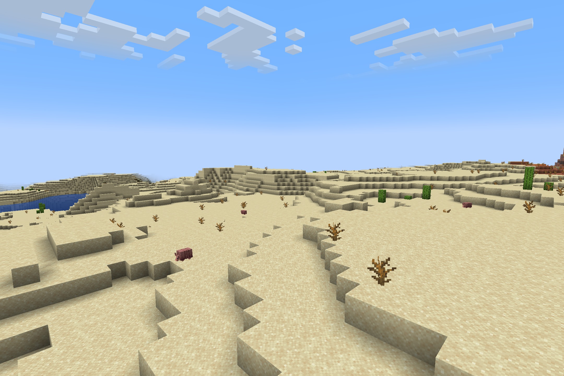 Wide view of a desert biome with sand dunes and armadillos wandering