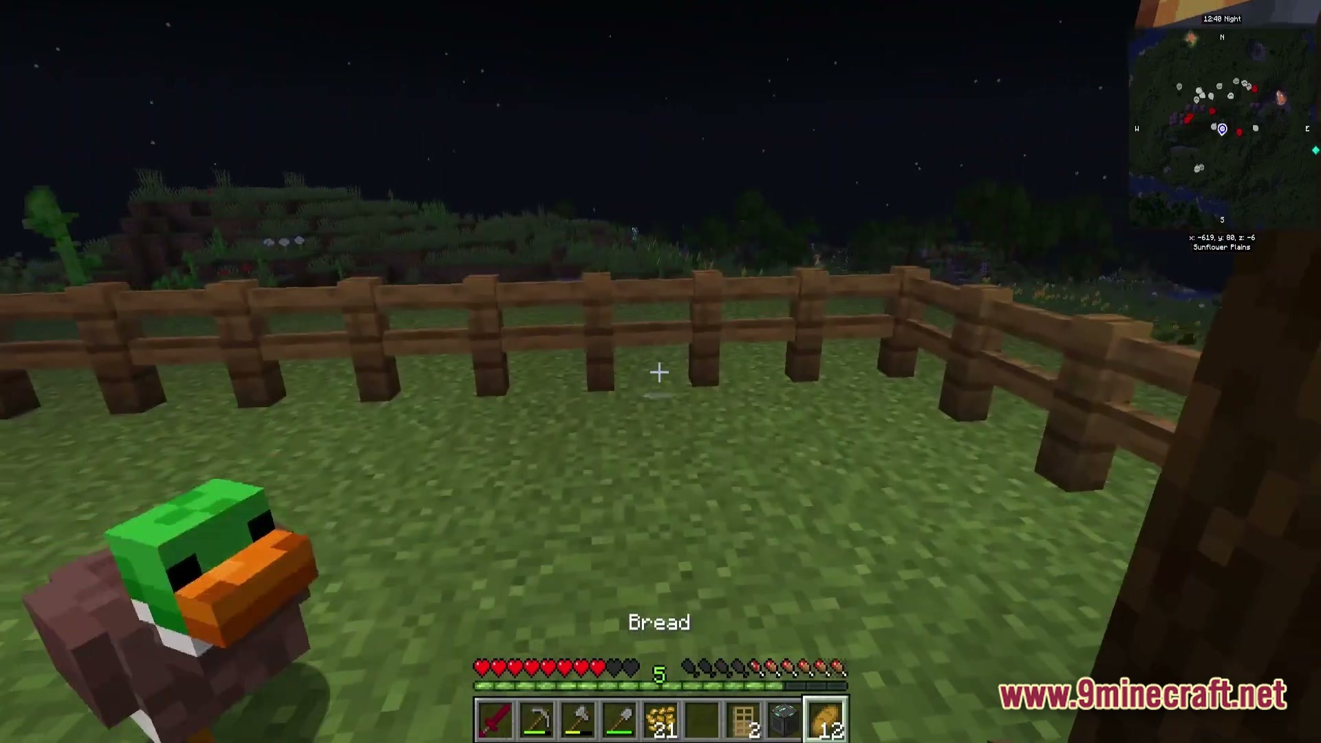 A player stands in a grassy field at night near a duck and a wooden fence