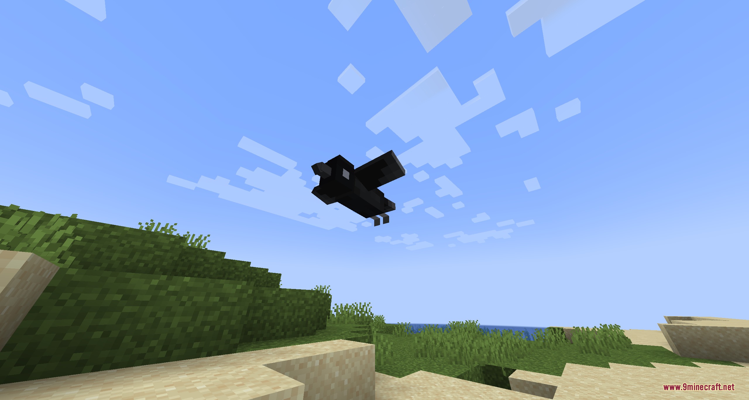 A black kasugai crow flies through the sky above a grassy landscape