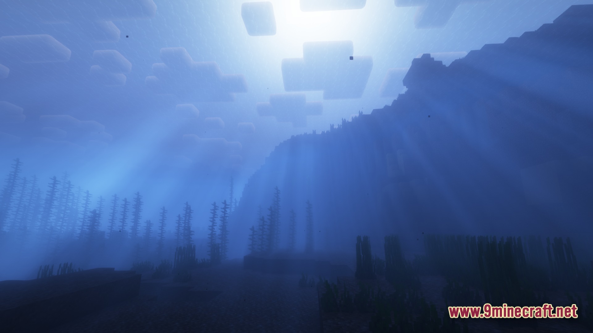 Sunlight filters through the water surface onto an underwater ocean floor with kelp and seagrass