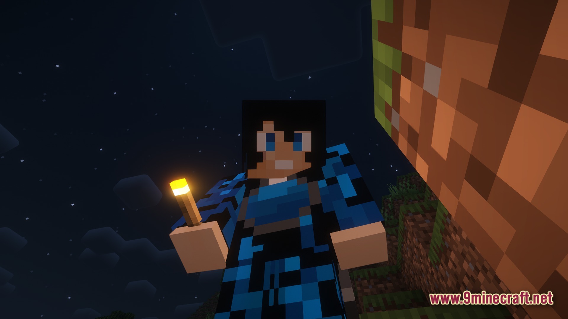 A player character wearing blue armor holds a lit torch under a starry night sky
