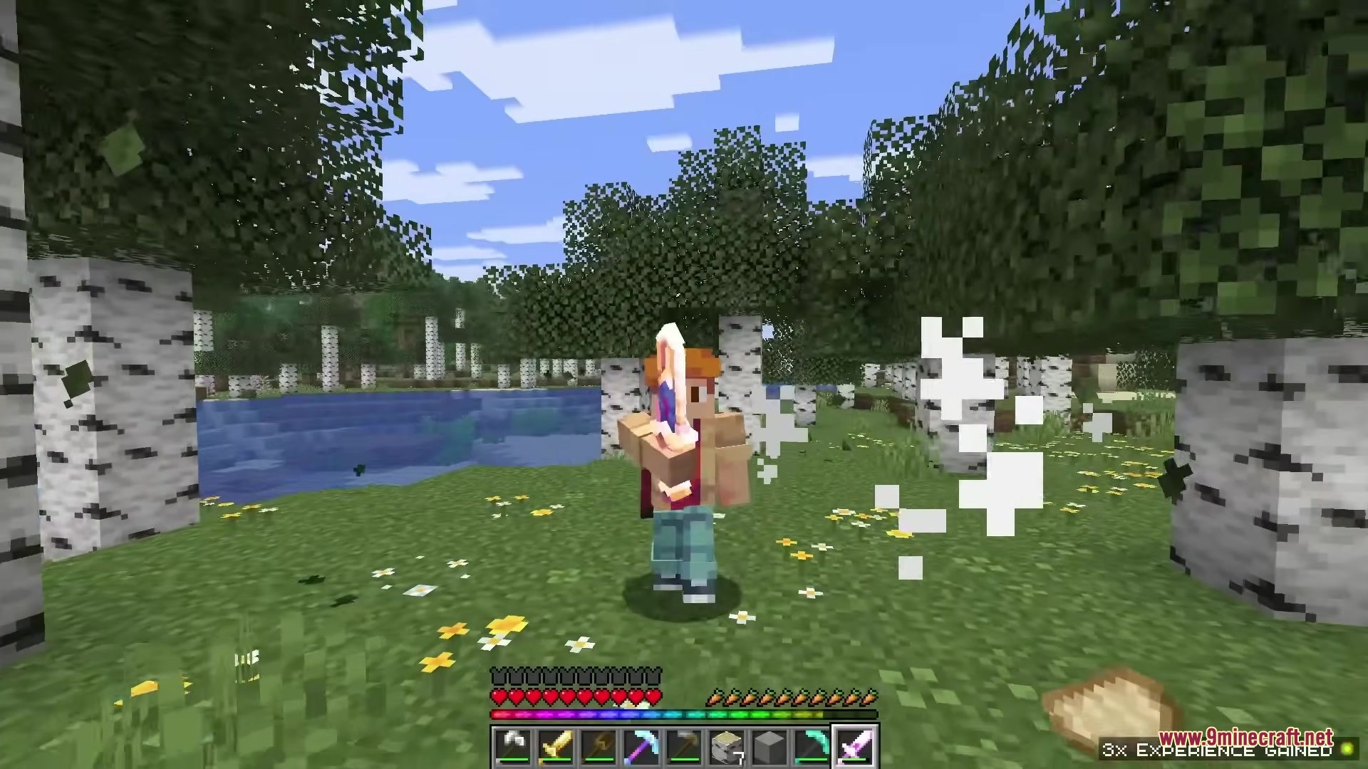 Mlc Better Gear Resource Pack (1.21.10) – Epic 3D Weapons With Visible 12 Minecraft character holding a 3d modeled enchanted sword in a bright birch forest