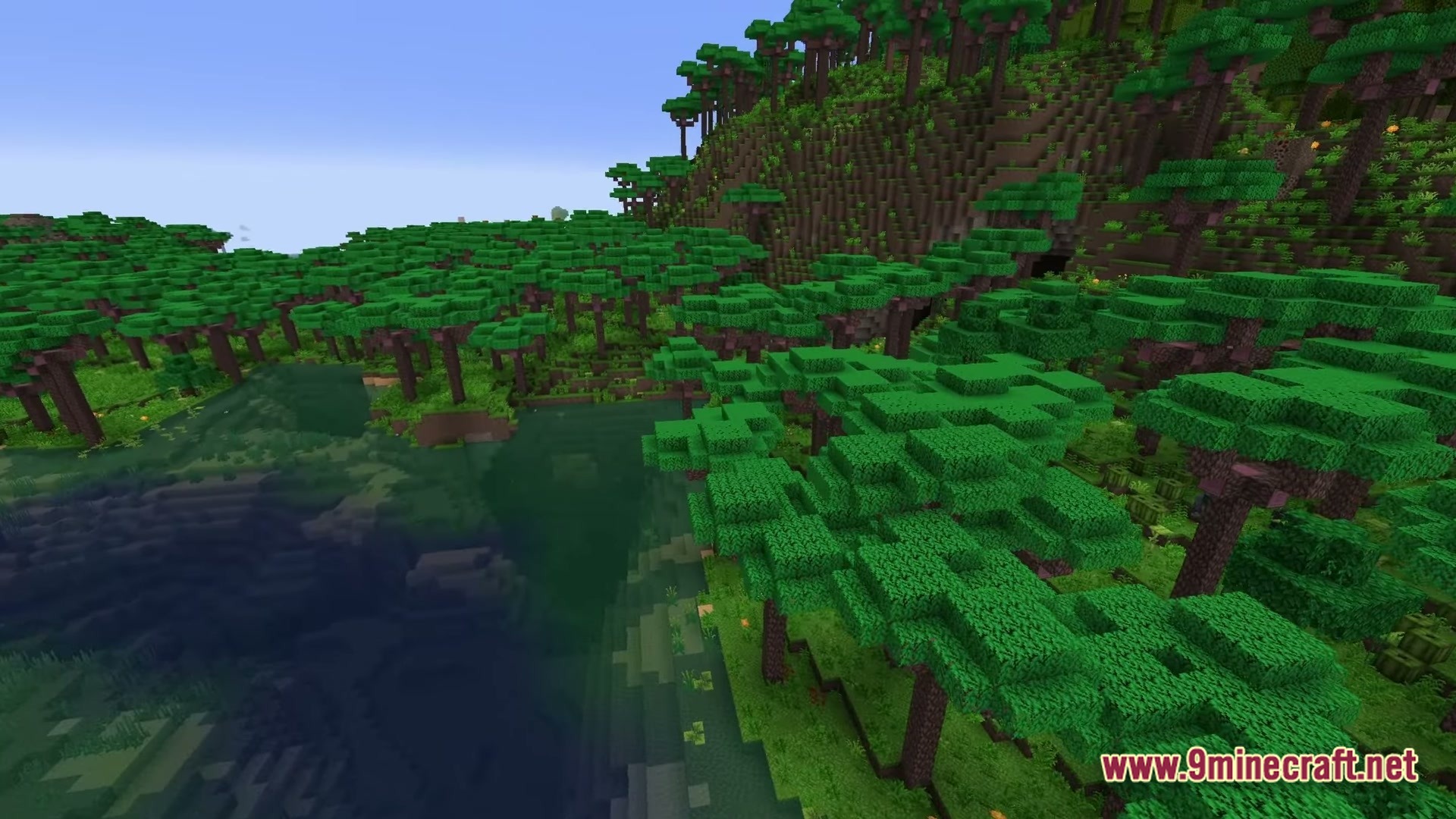 A lush jungle biome with dense green trees bordering a deep body of water