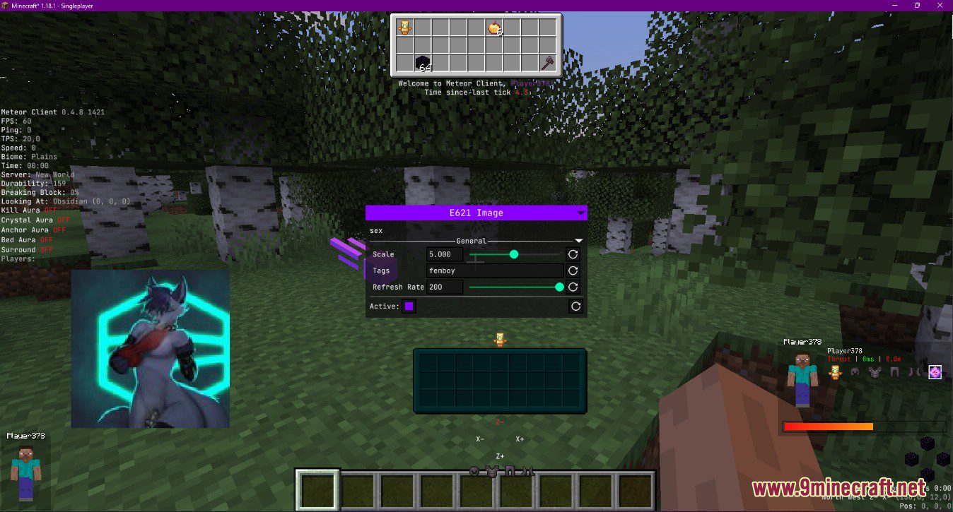 Meteor Client Addons (26.2, 1.20.1) – Modify Almost Anything In Meteor 2 Meteor e621 hud element addon