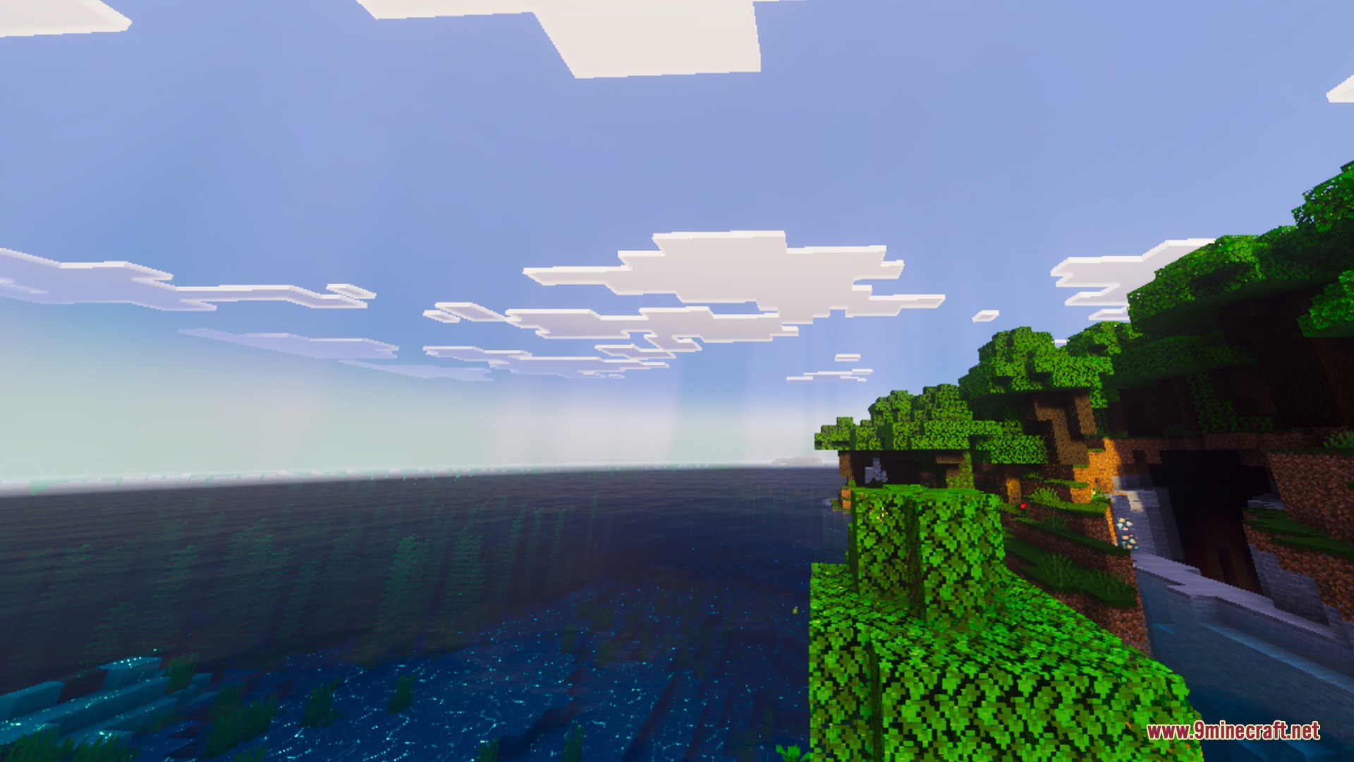 Lush green trees on a cliff overlooking a vast ocean under a bright sky