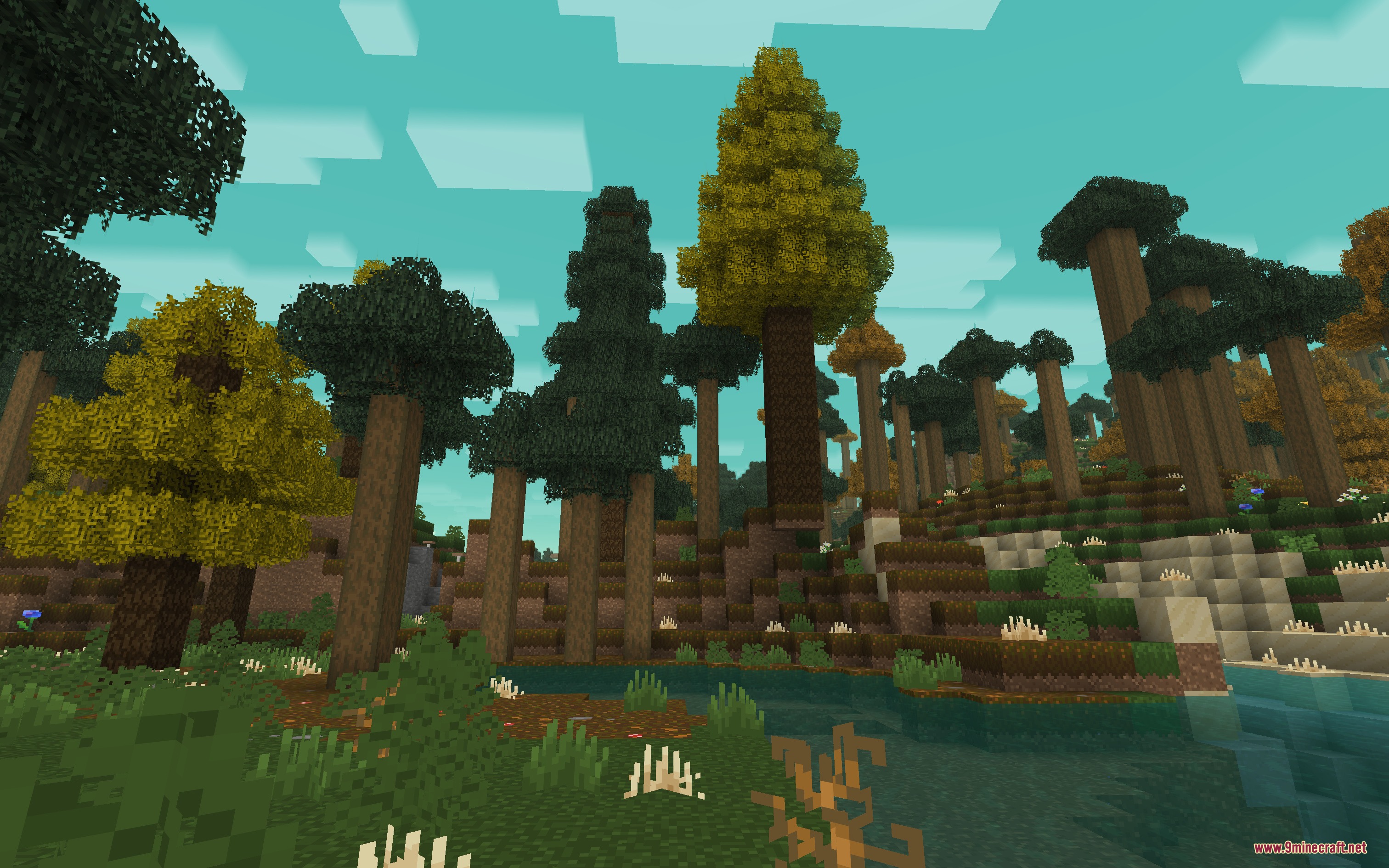Tall stylized trees and a small pond in a dense blocky forest landscape
