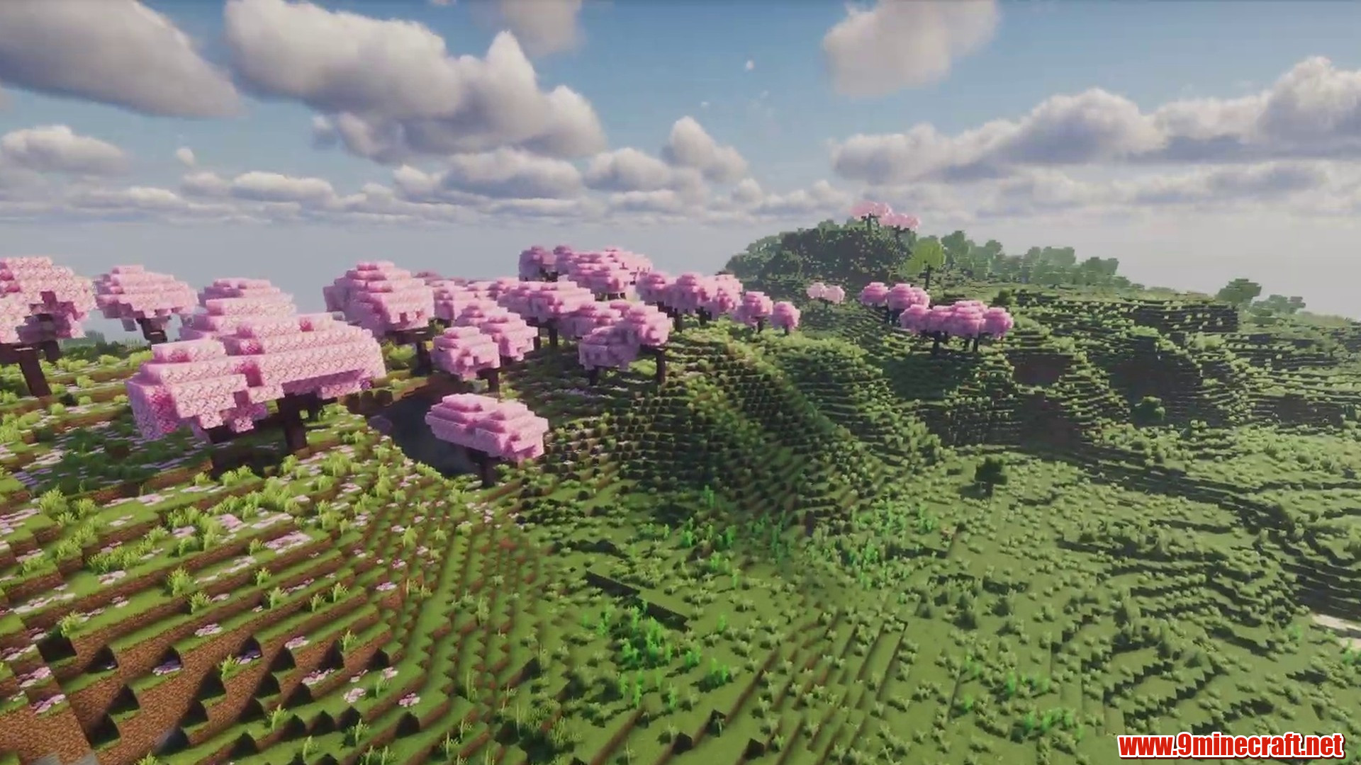 Sakura plains seed in minecraft seed 1280477563087140594