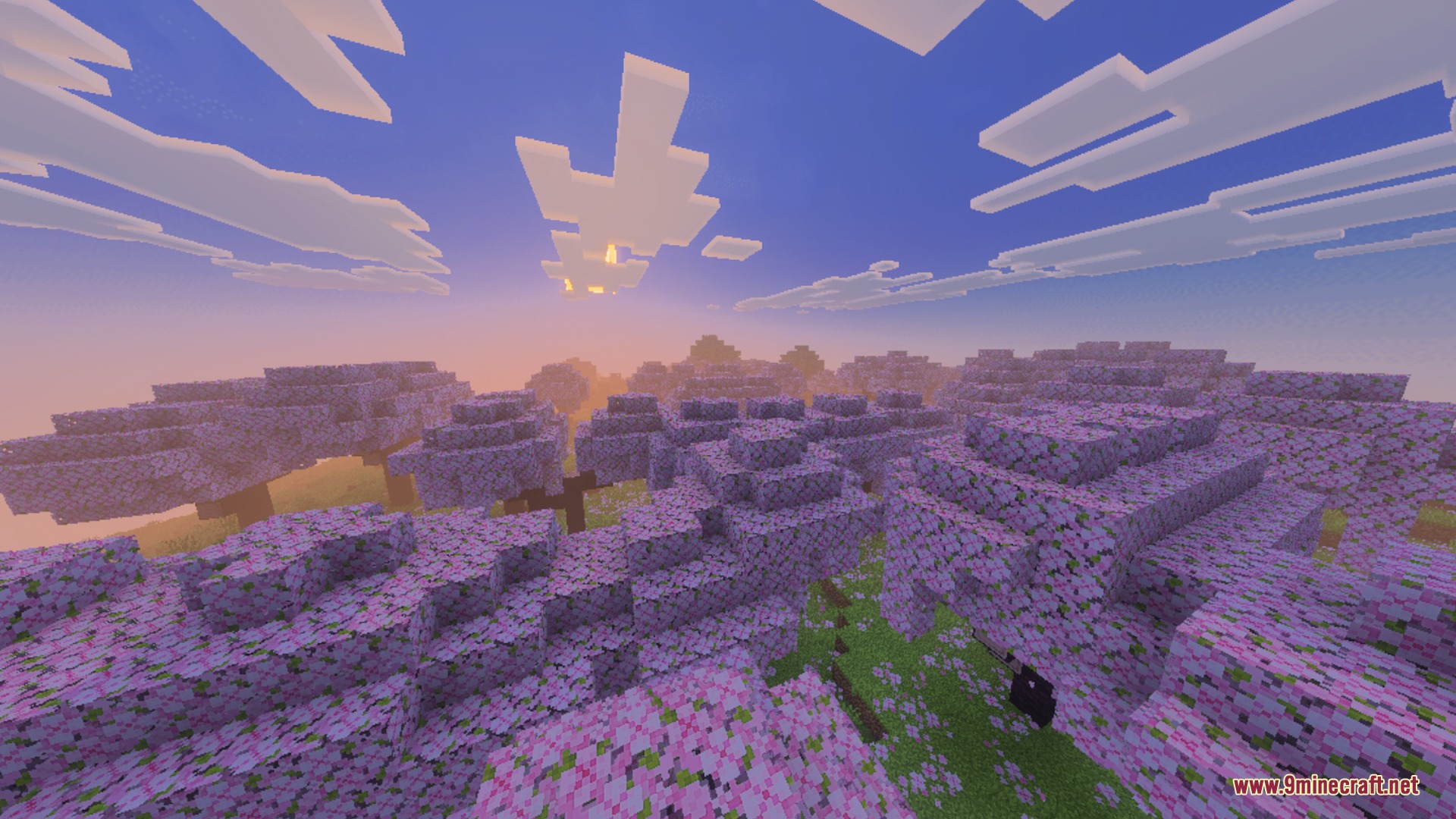 Pink cherry blossom trees covering the landscape under a soft sunset sky